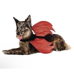 Reversible Red Devil Angel Wings Halloween Dog Costume L /XL Hyde & EEK! NEW